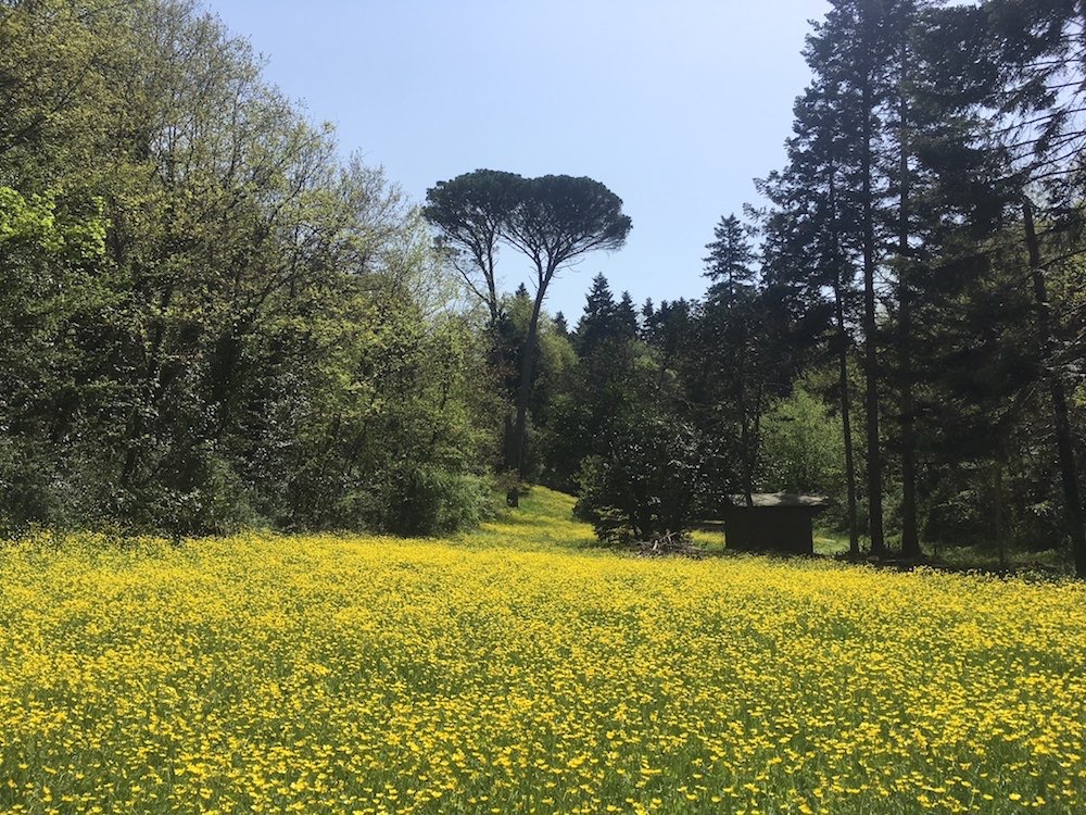 Le printemps en Toscane
